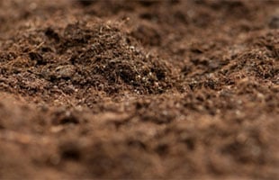 Everything* You Wanted to Know About Soils, But Were Afraid to Ask