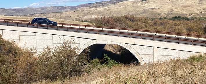 瓦萨奇山峰牧场