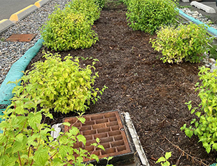Paine Field Passenger Terminal