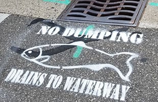 No Dumping Drains to Waterway